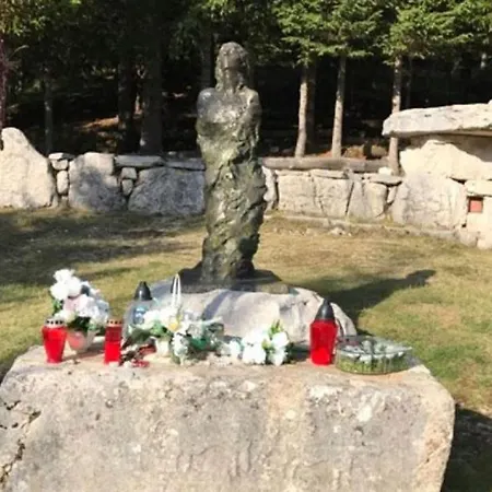 Dağ evi Medic - Blidinje